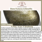 FengShui PiXiu Golden Obsidian Protection Bracelet