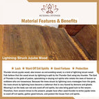 Fortune Jewel Tibet Lightning Struck Jujube Wood Yin Yang Luck Bracelet Fortune Jewel