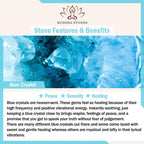 Fortune Jewel "Sending You Peace and Grace" Blue Crystal Flower Bracelet Includes Gift Message Card Fortune Jewel