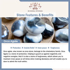 Fortune Jewel "May the Stars Guide Your Dreams" Orca Agate Bracelet Includes Gift Message Card Fortune Jewel