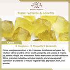 Fortune Jewel Natural Citrine White Crystal Nine Tailed Fox Attracting Wealth Charm Energy Bracelet