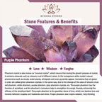 Fortune Jewel Natural Purple Phantom Bow Wisdom Bracelet