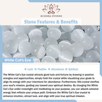 Fortune Jewel Cat Head White Cat's Eye Silver Sheen Obsidian Positive Bracelet - Fortune Jewel