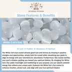 Fortune Jewel 999 Sterling Silver Natural Cat Head White Cat's Eye White Agate Positive Bracelet Fortune Jewel