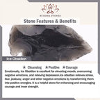 Fortune Jewel 925 Sterling Silver Cat Natural Ice Obsidian Positive Bracelet Fortune Jewel