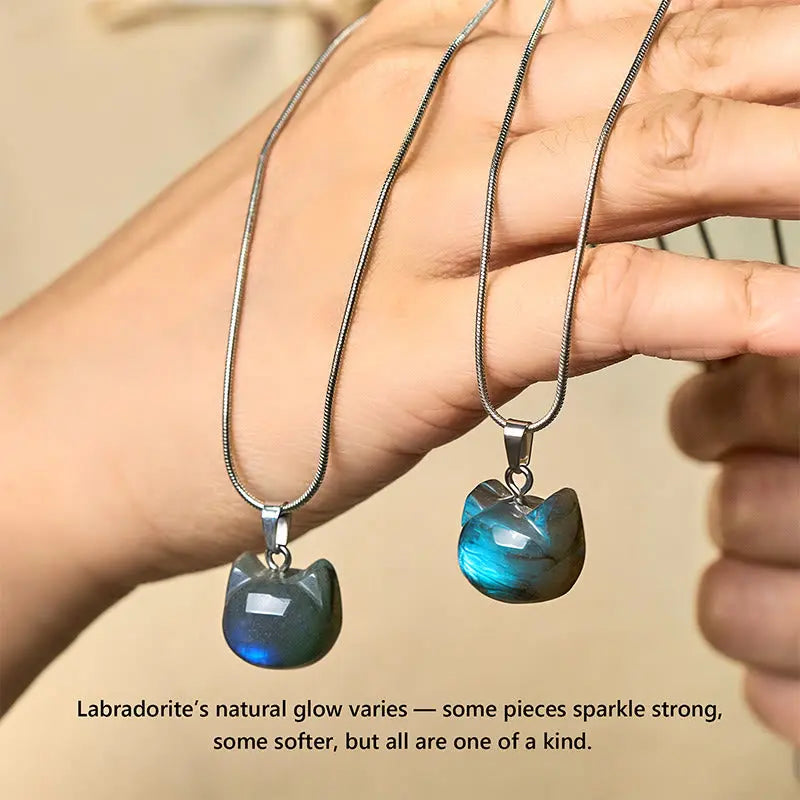 Fortune Jewel "Hoping for Insight and Joy" Cat Labradorite Necklace Includes Gift Message Card Fortune Jewel