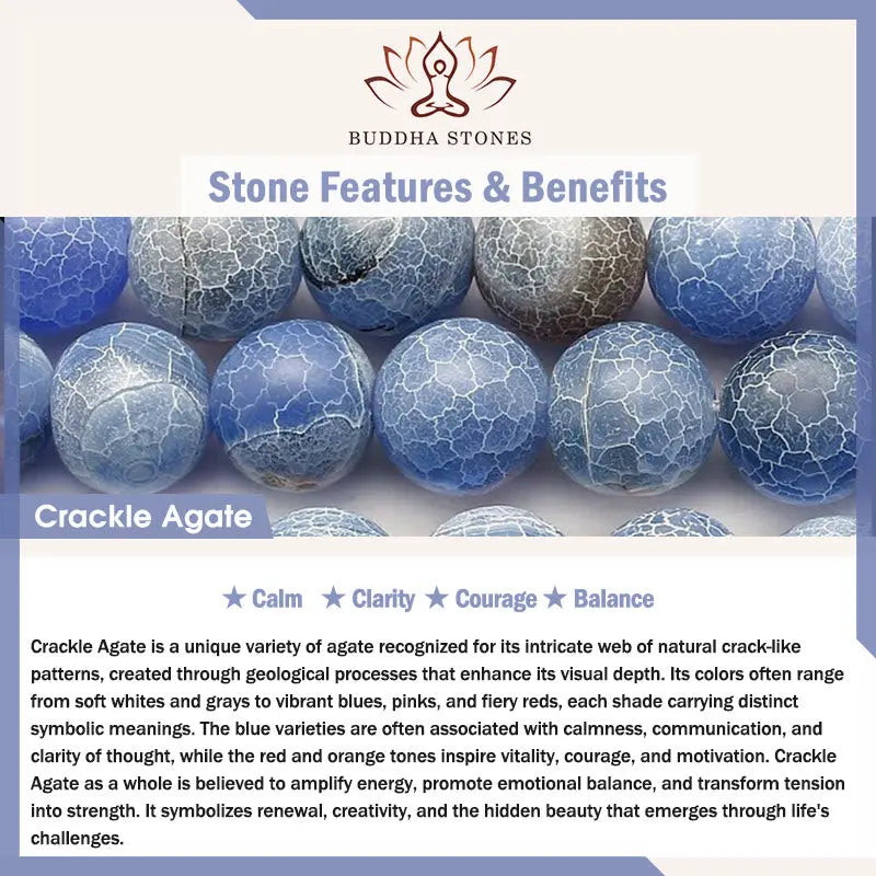 Fortune Jewel Natural Agate Stone Shark Wisdom Bracelet Fortune Jewel