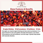 Buddha Stones 925 Sterling Silver Year Of The Horse Four Leaf Clover Red Agate Calm Necklace Pendant