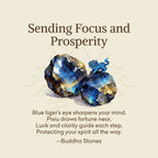 Buddha Stones "Sending Focus and Prosperity" Tiger Eye Pixiu Bracelet Includes Gift Message Card Fortune Jewel