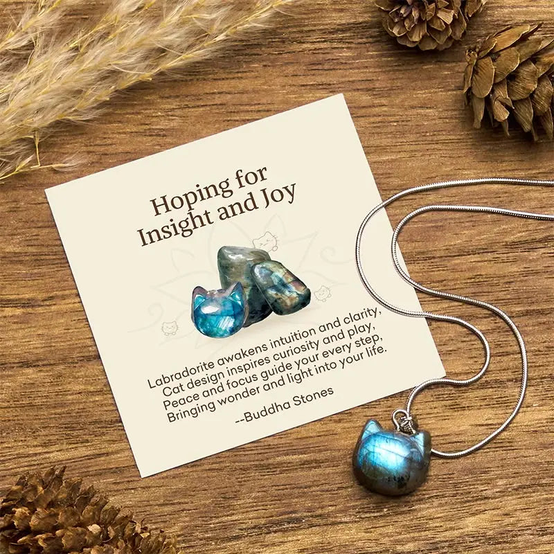 Fortune Jewel "Hoping for Insight and Joy" Cat Labradorite Necklace Includes Gift Message Card Fortune Jewel