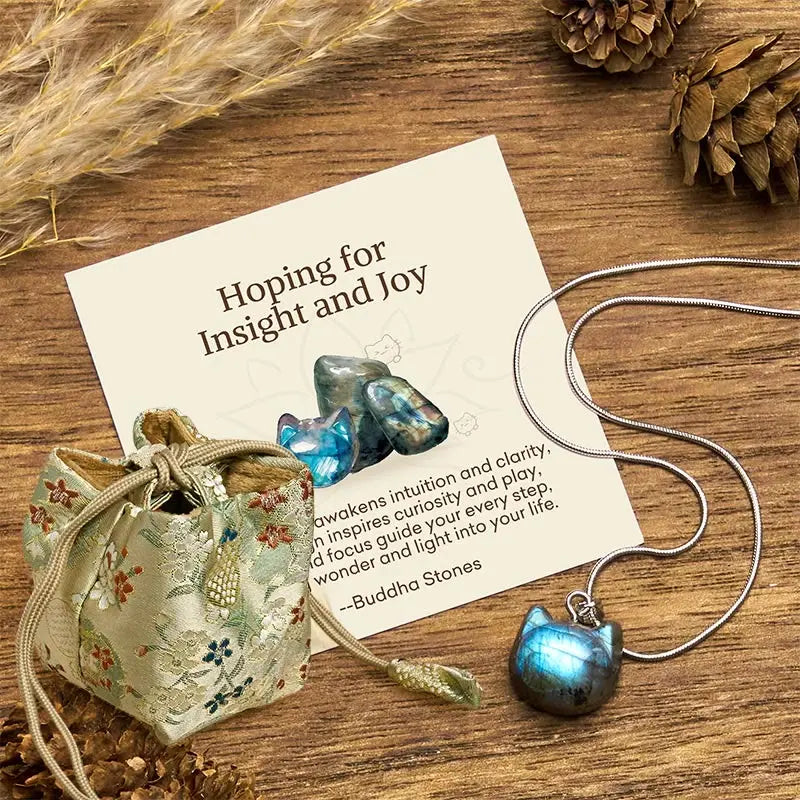 Fortune Jewel "Hoping for Insight and Joy" Cat Labradorite Necklace Includes Gift Message Card Fortune Jewel