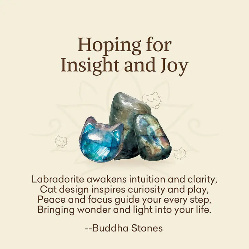Fortune Jewel "Hoping for Insight and Joy" Cat Labradorite Necklace Includes Gift Message Card Fortune Jewel