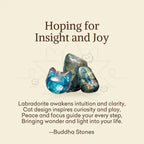 Fortune Jewel "Hoping for Insight and Joy" Cat Labradorite Necklace Includes Gift Message Card Fortune Jewel