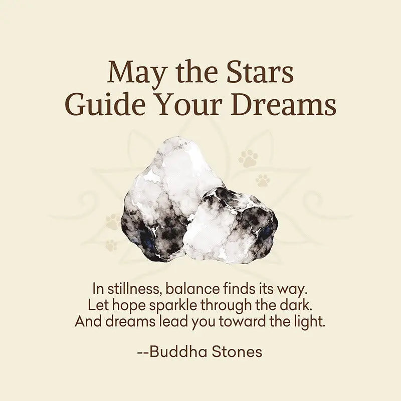 Fortune Jewel "May the Stars Guide Your Dreams" Orca Agate Bracelet Includes Gift Message Card Fortune Jewel