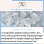 Fortune Jewel White Cat's Eye Abundance Spiritual Cuff Bangle Bracelet - Fortune Jewel