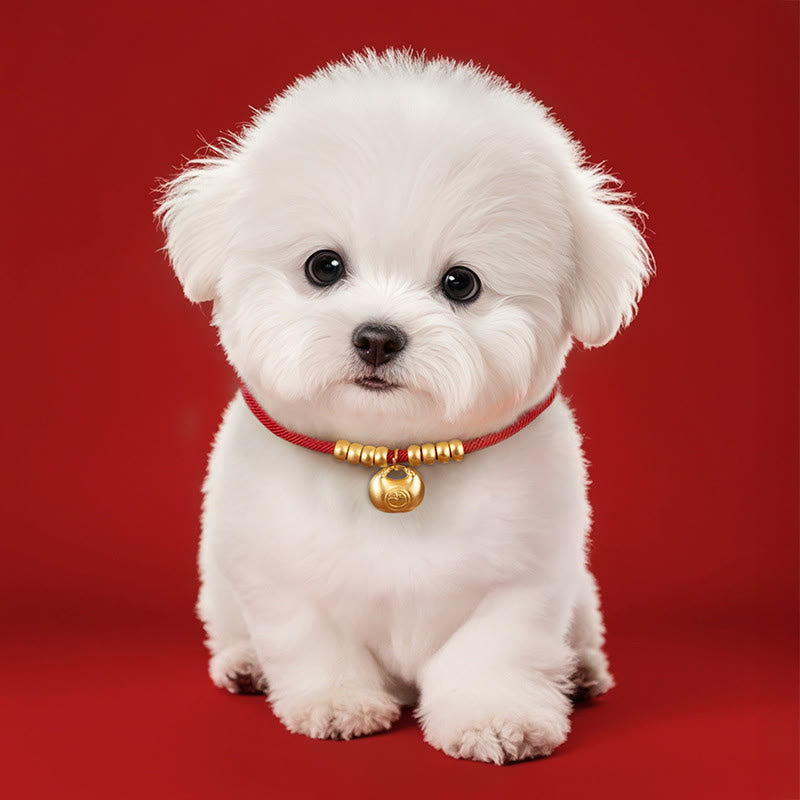Fortune Jewel Red String Bead Protection Adjustable Cats Small Dogs Pet Collar - Fortune Jewel