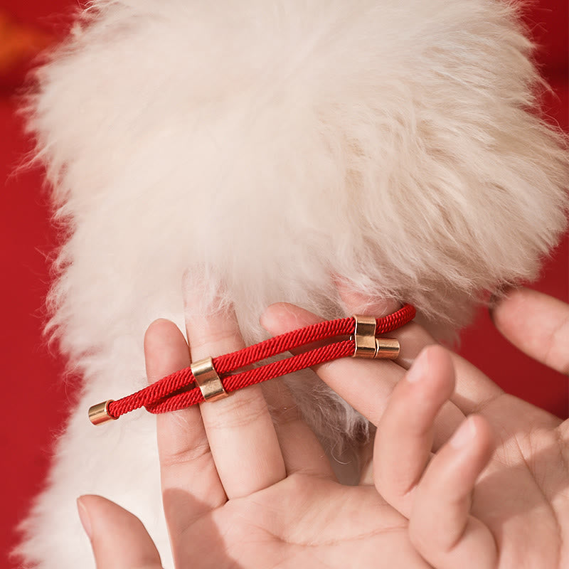 Fortune Jewel Metal Pendant Red String Peace Joy Blessing Protection Adjustable Cats Small Dogs Pet Collar - Fortune Jewel