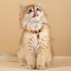 Fortune Jewel Metal Pendant Red String Peace Joy Blessing Protection Adjustable Cats Small Dogs Pet Collar - Fortune Jewel