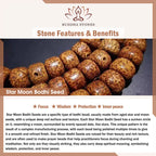Fortune Jewel Year Of The Horse Red Sandalwood Star Moon Bodhi Seed Blessing Key Chain - Fortune Jewel
