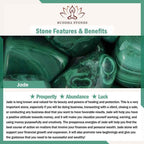 Fortune Jewel Jade 925 Sterling Silver Abundance Earrings
