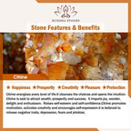 Fortune Jewel Champagne Citrine Copper Pearl Properity Protection Necklace Pendant