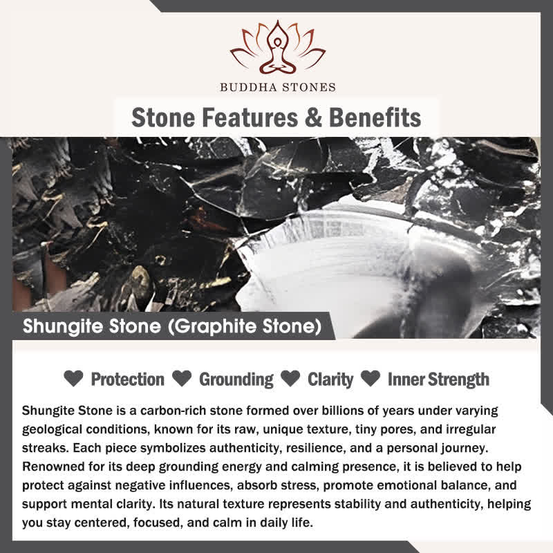 Fortune Jewel Circle Simple Design Authentic Shungite Stone Protection Necklace Pendant - Fortune Jewel