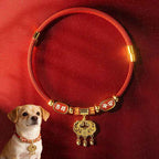 Fortune Jewel Red String Bead Fu Character Luck Adjustable Cats Dogs Pet Collar
