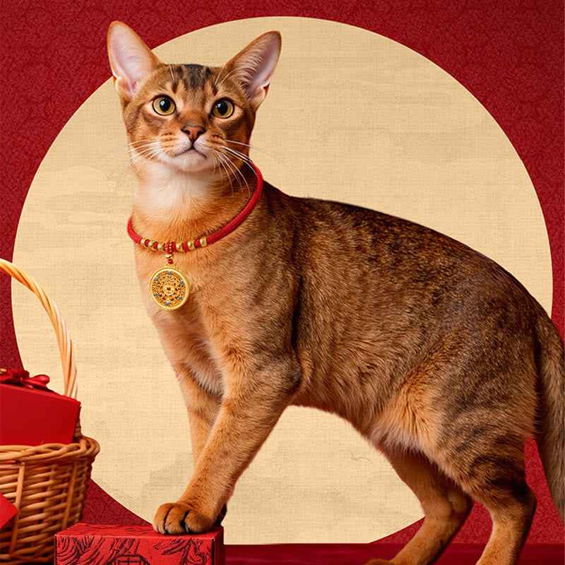 Fortune Jewel Red String Bead Compass Gourd Protection Adjustable Cats Dogs Pet Collar