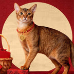 Fortune Jewel Red String Bead Compass Gourd Protection Adjustable Cats Dogs Pet Collar