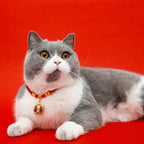 Fortune Jewel Red String Plaited Embroidery Tiger Fu Character Protection Adjustable Cats Dogs Pet Collar