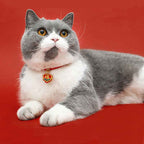 Fortune Jewel Red String Plaited Embroidery Tiger Fu Character Protection Adjustable Cats Dogs Pet Collar