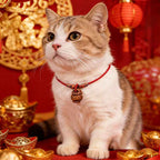 Fortune Jewel Plaited Peach Pit Red String Strength Adjustable Cats Dogs Pet Collar
