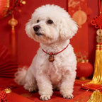 Fortune Jewel Plaited Peach Pit Red String Strength Adjustable Cats Dogs Pet Collar