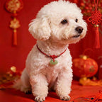 Fortune Jewel Red String Plaited Jade Protection Adjustable Cats Dogs Pet Collar