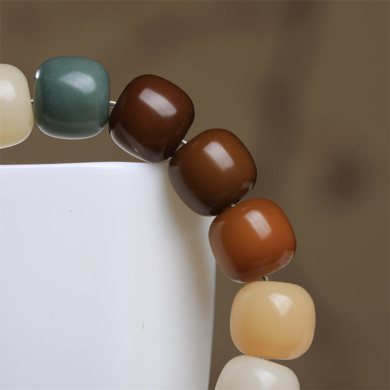 Fortune Jewel Multicolored Bodhi Seed Keep Away Evil Spirits Bracelet