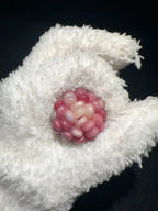 Trendy Strawberry Ice-Transparent Natural Corn Charms