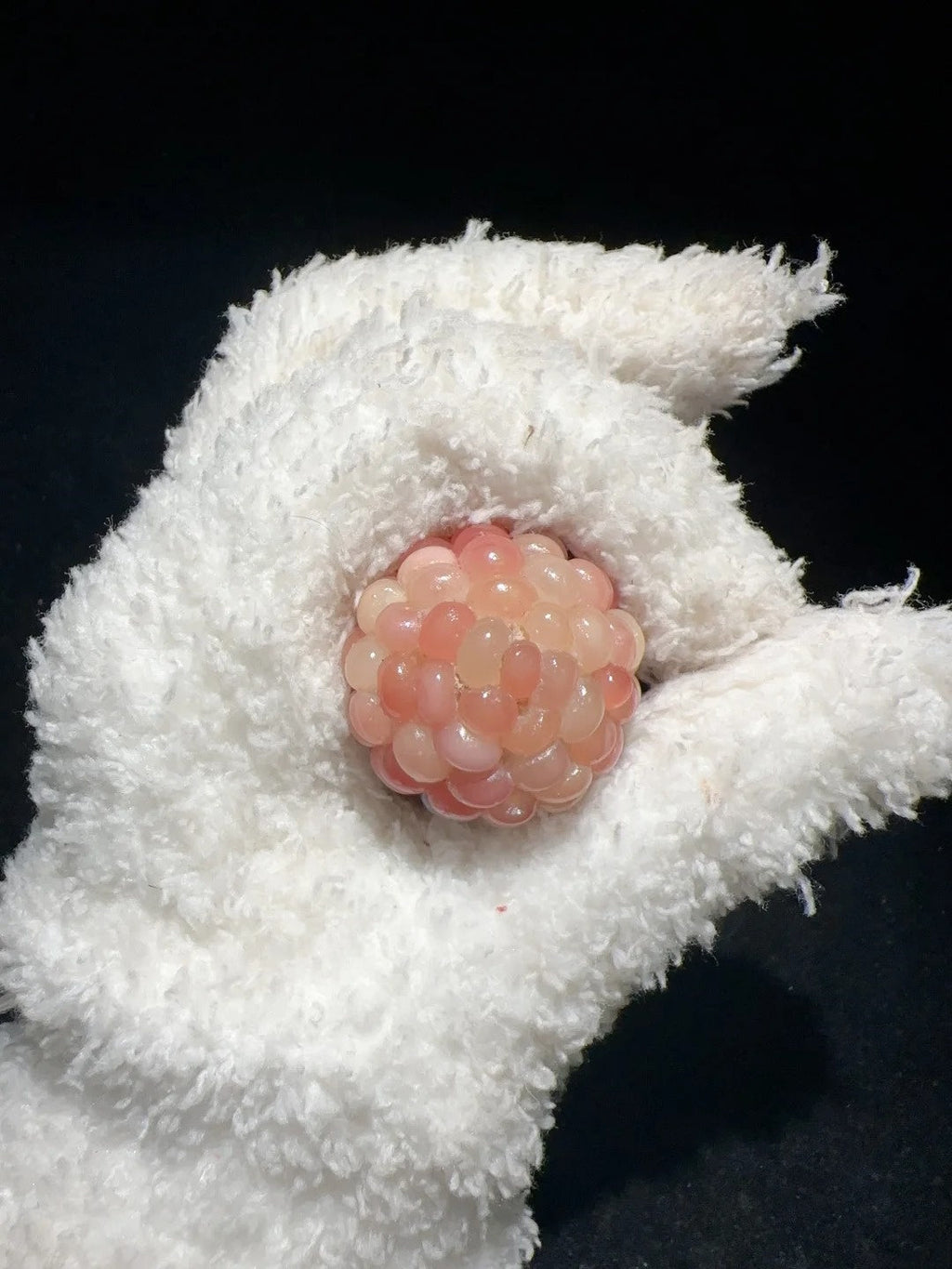 Blush Pink Chunky Corn Charms for Fidgeting