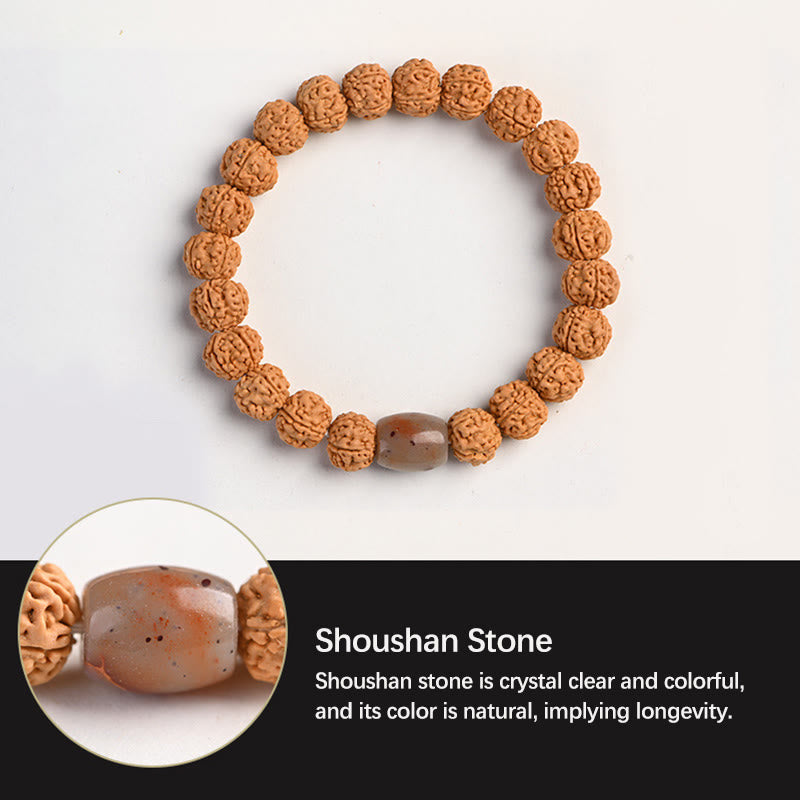 Fortune Jewel Tibet Rudraksha Bodhi Seed Wealth Auspiciousness Bracelet