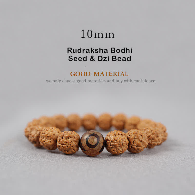 Fortune Jewel Tibet Rudraksha Bodhi Seed Dzi Bead Amber Turquoise Wealth Bracelet