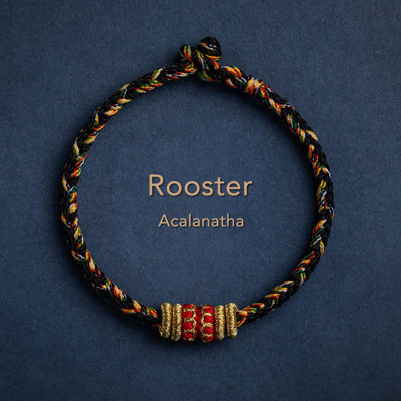 Fortune Jewel Tibet Handmade Chinese Zodiac Natal Buddha Luck Strength Braided String Bracelet