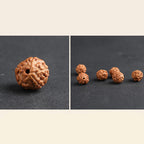 Fortune Jewel Tibet Rudraksha Bodhi Seed PiXiu Copper Coin Wealth Luck Bracelet
