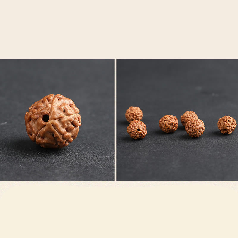 Fortune Jewel Tibet Rudraksha Bodhi Seed PiXiu Copper Coin Wealth Luck Bracelet