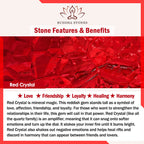 Fortune Jewel Cyan Jade Red Crystal Luck Necklace