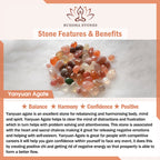Fortune Jewel Natural Yanyuan Agate Cat Claw Paw Positive Bracelet