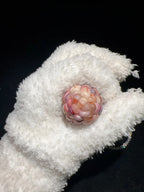 Colorful Ice-Transparent Textured Natural Corn Charms
