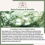 Fortune Jewel Natural Stone Quartz Healing Beads Bracelet