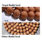 Fortune Jewel 108 Mala Beads Nepal Bodhi Seed Luck Wealth Tassel Bracelet