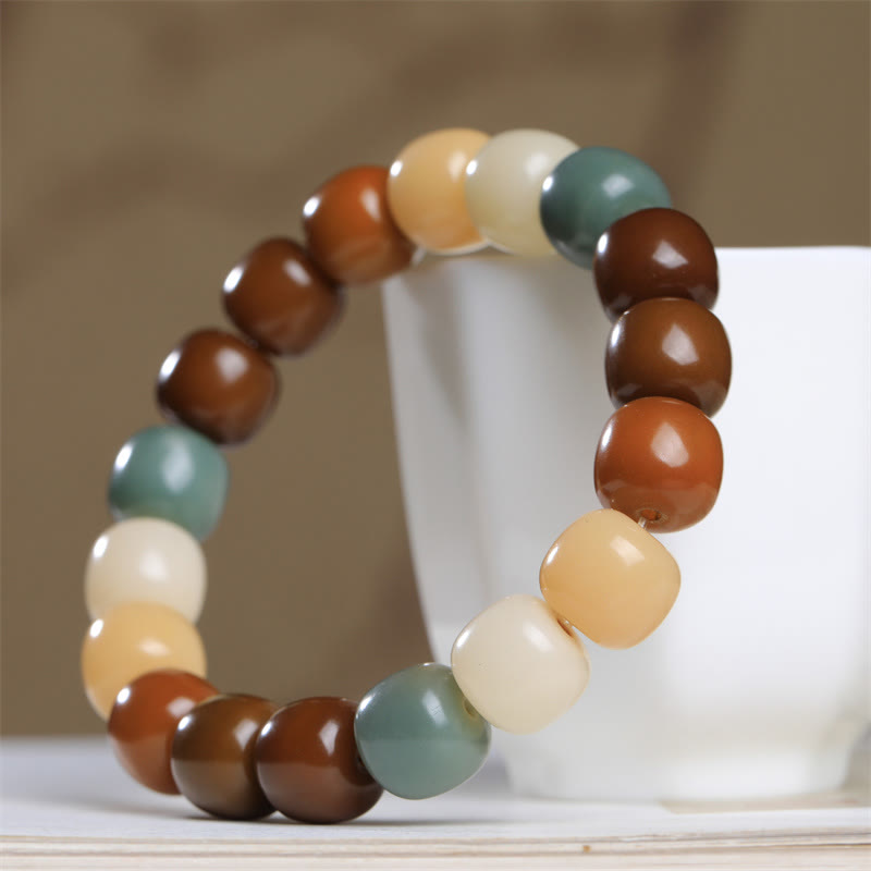 Fortune Jewel Multicolored Bodhi Seed Keep Away Evil Spirits Bracelet