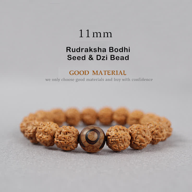 Fortune Jewel Tibet Rudraksha Bodhi Seed Dzi Bead Amber Turquoise Wealth Bracelet