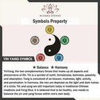 Fortune Jewel "Sending Balance and Protection" Obsidian Yin Yang Necklace Includes Gift Message Card Fortune Jewel